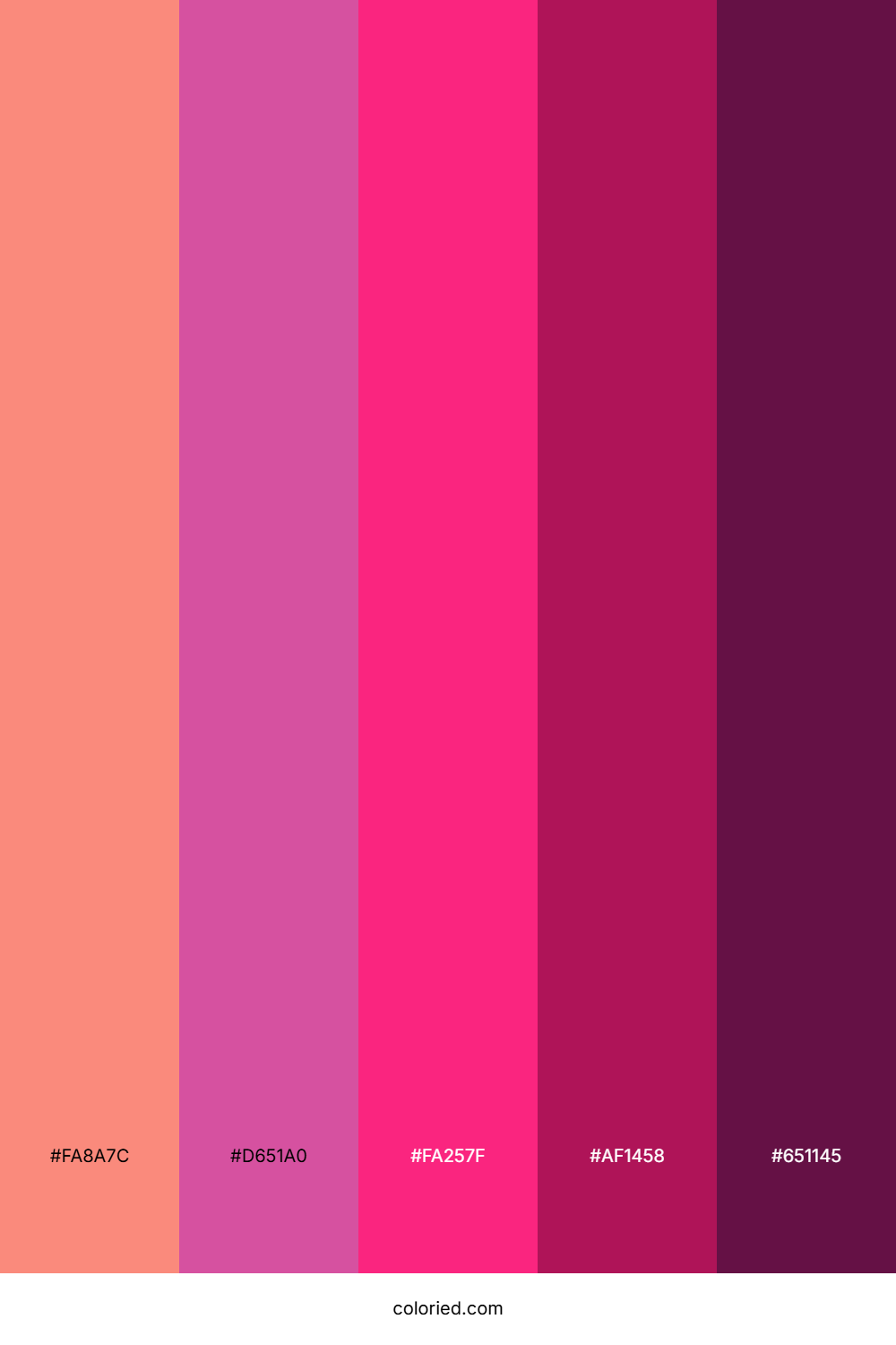 Hot Pink Retro Pop Color Palette