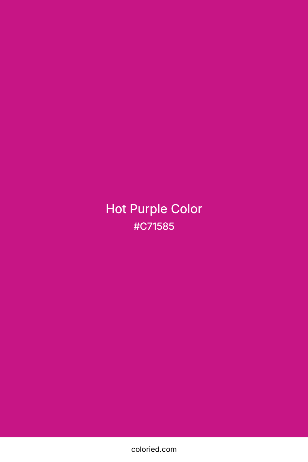 Hot Purple Color