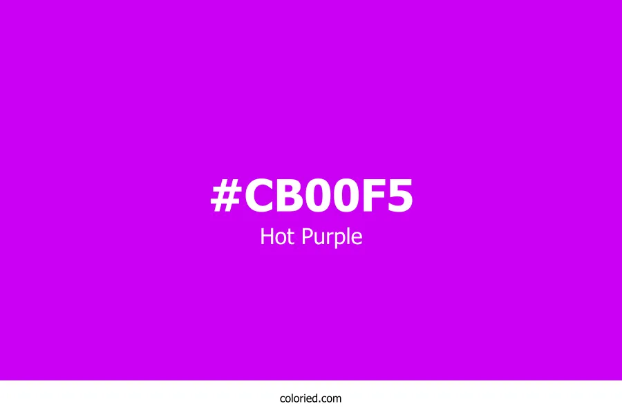 Hot Purple Color