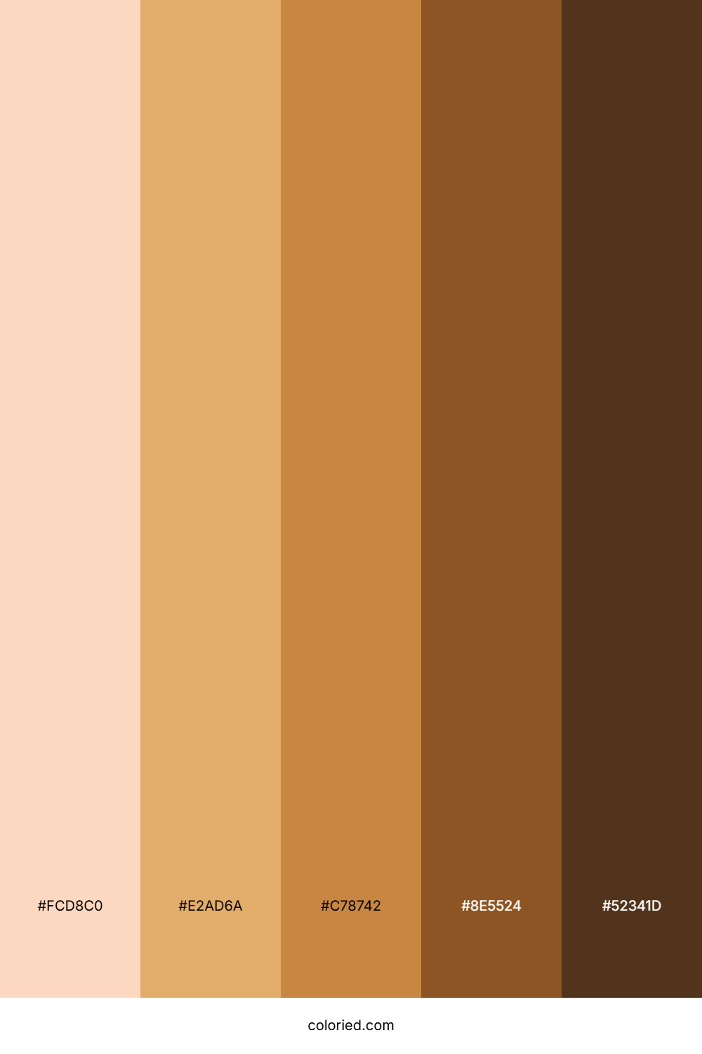 Human Tones Color Palette