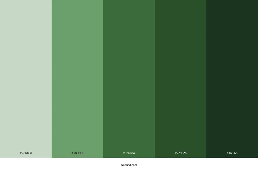 Hunter Green Color Palette