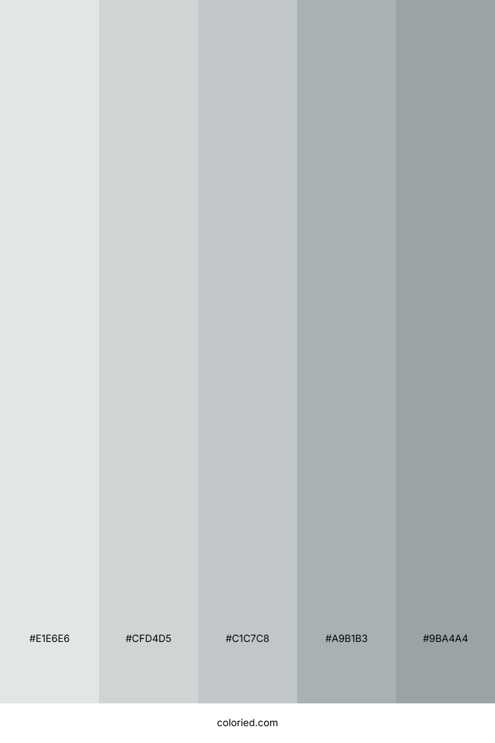 Ice and Slate Gray Color Palette