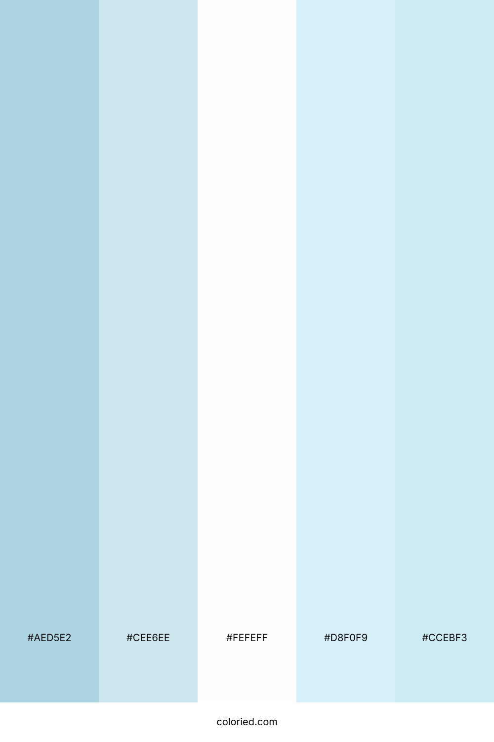 Icy Blue and Soft Sky Color Palette