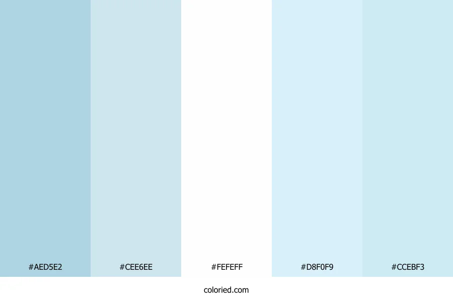 Icy Blue and Soft Sky Color Palette