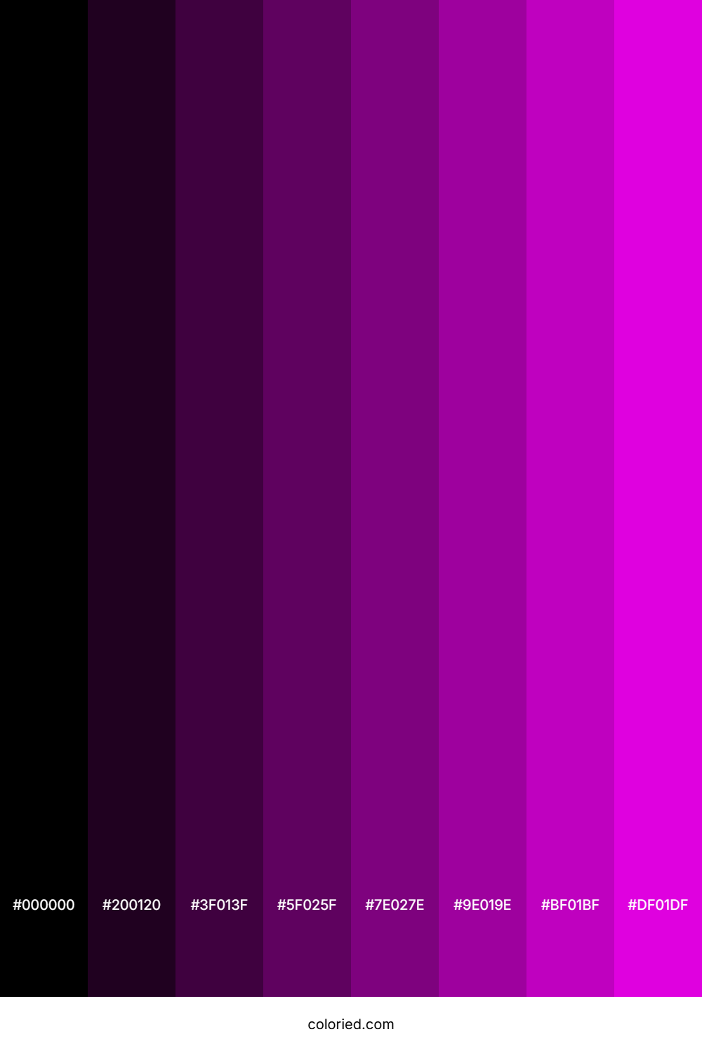 Imperial Purple Shades