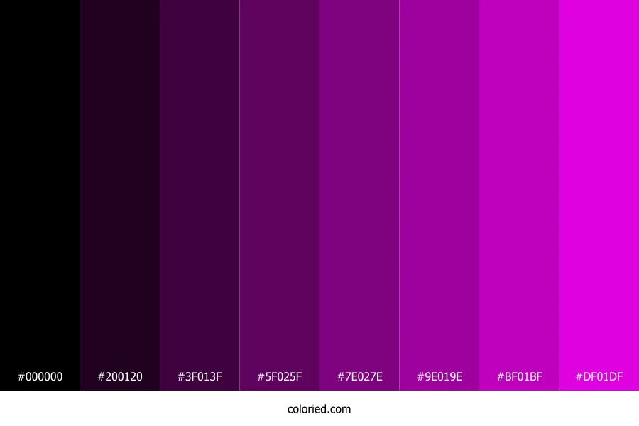 Imperial Purple Shades