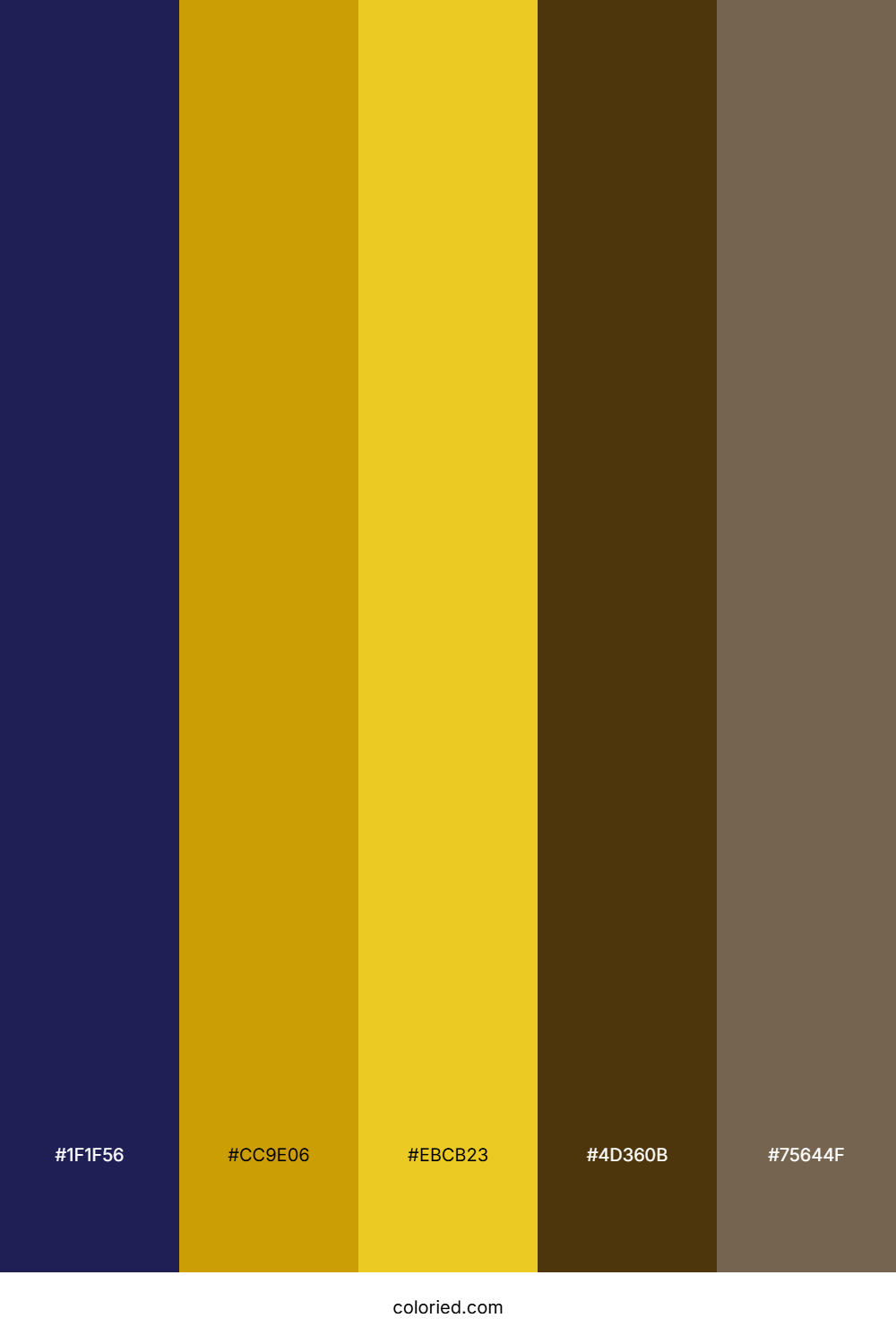 Indigo Amber Color Palette