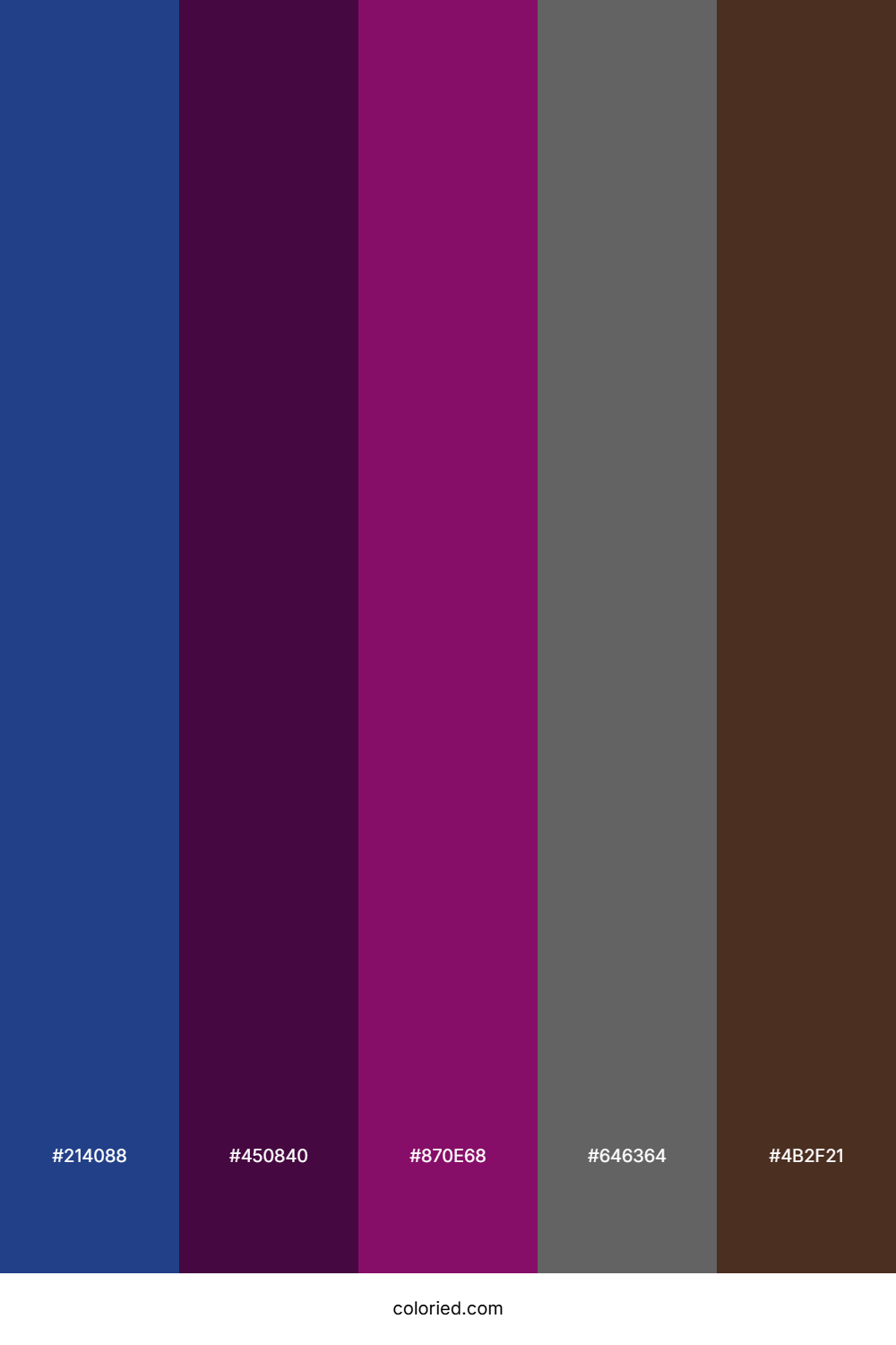 Indigo and Burgundy Color Palette