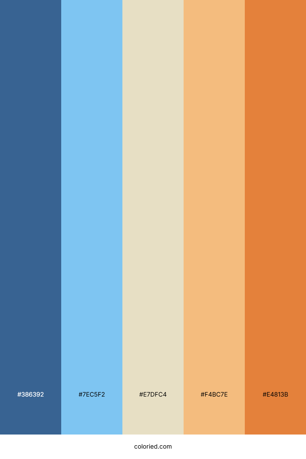 Indigo and Tangerine Color Palette