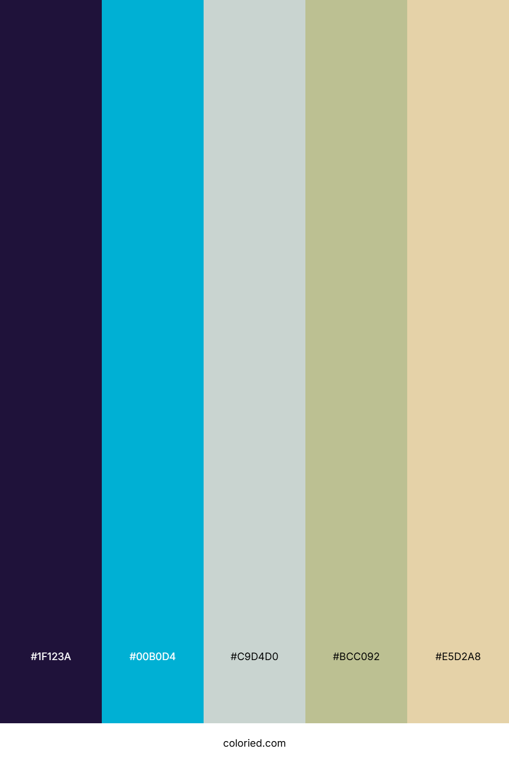 Indigo Sky Sage Color Palette