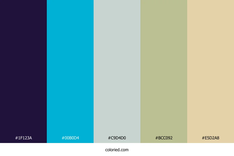 Indigo Sky Sage Color Palette