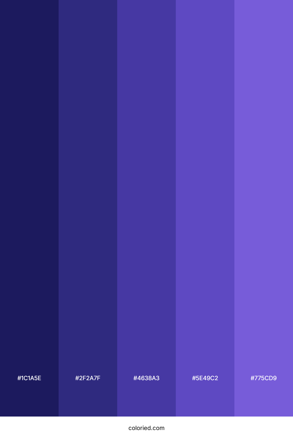 Indigo Violet Color Palette