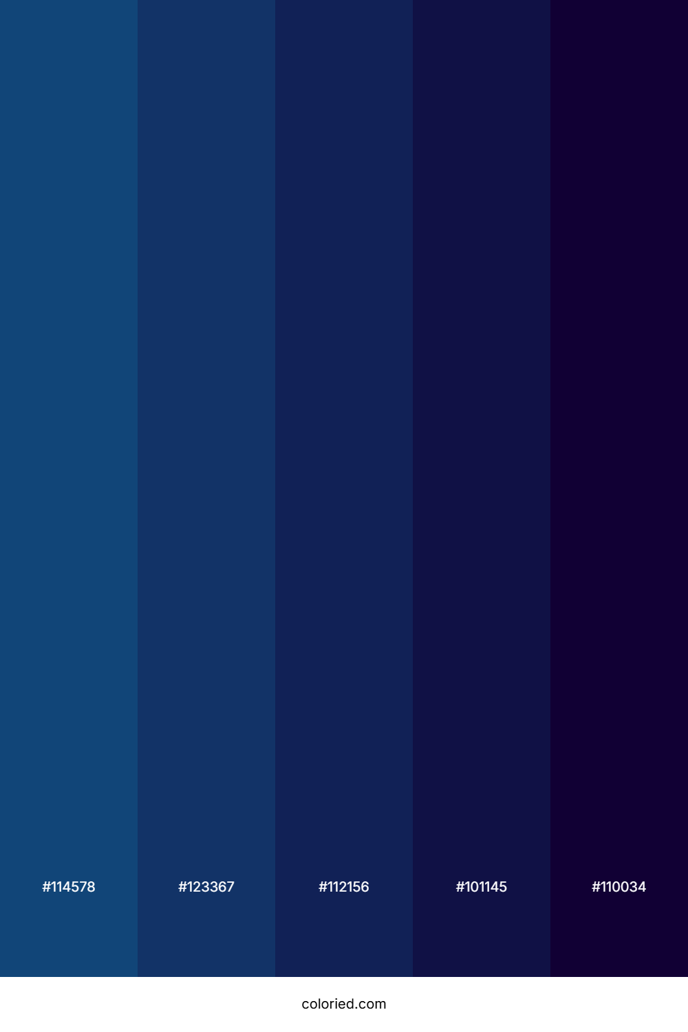 Inkberry Night Color Palette