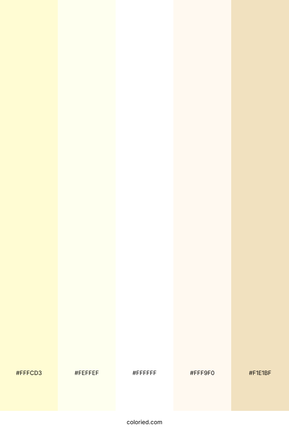 Ivory and Cream Color Palette