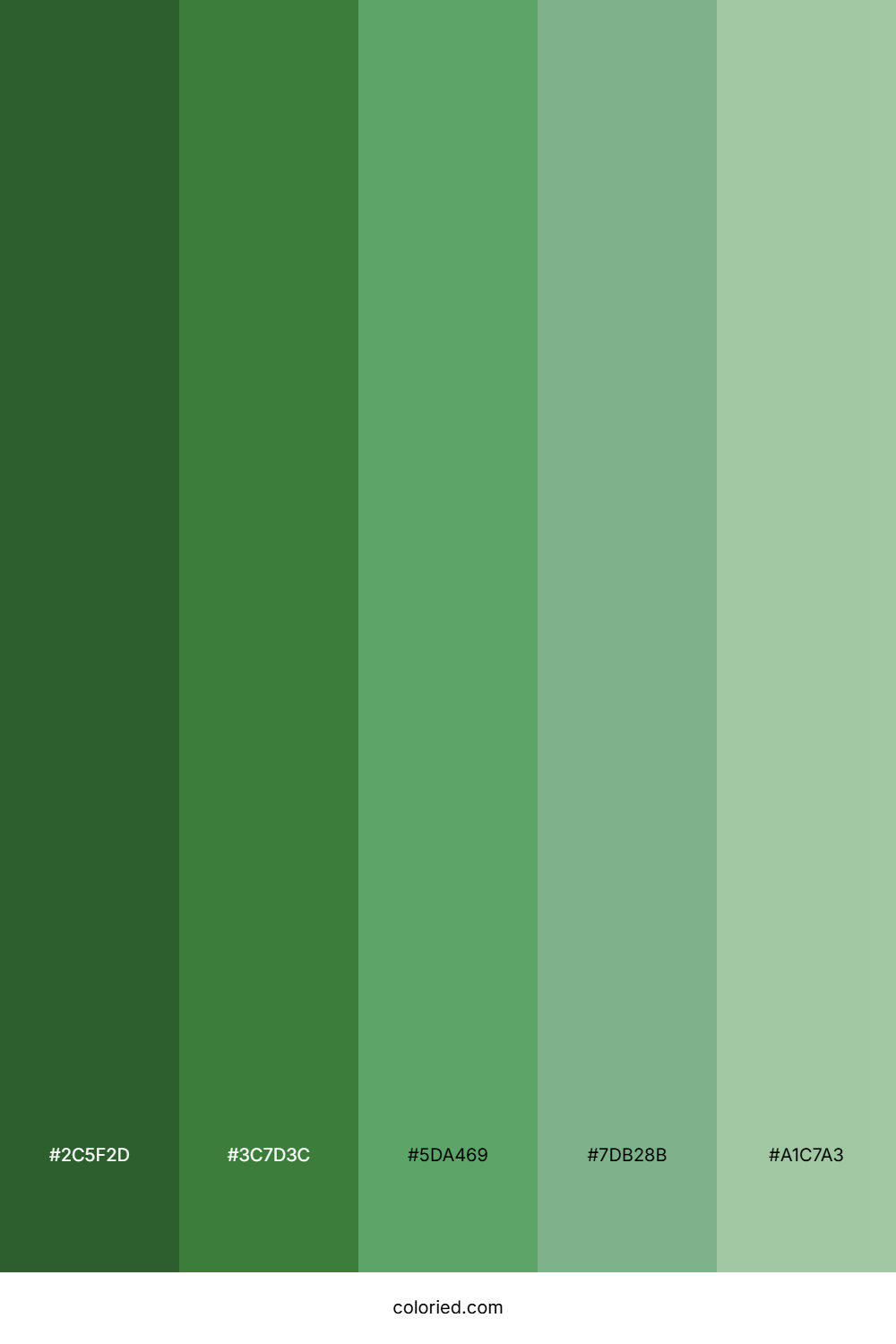 Ivy Color Palette