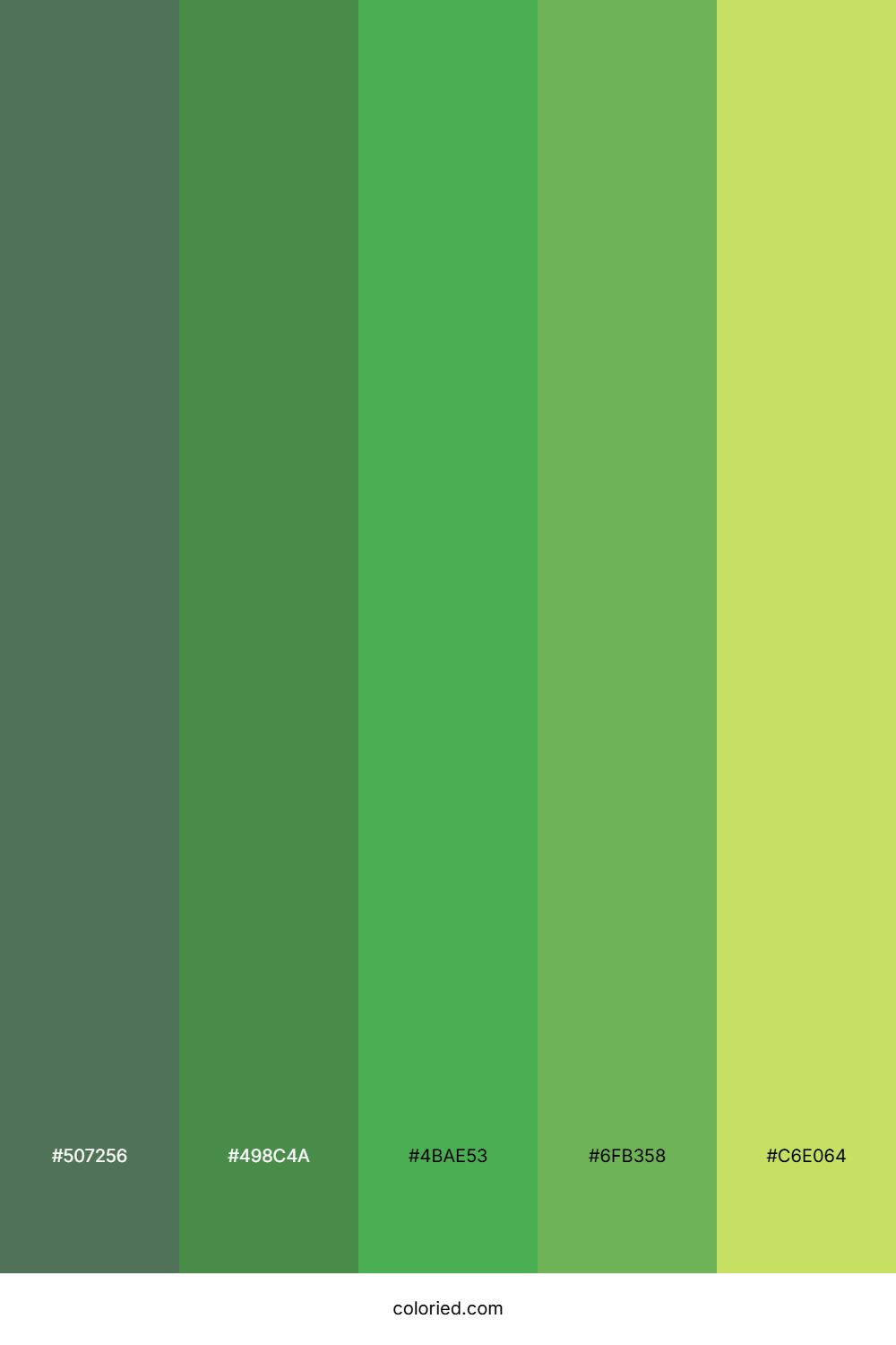 Jade Garden Path Color Palette