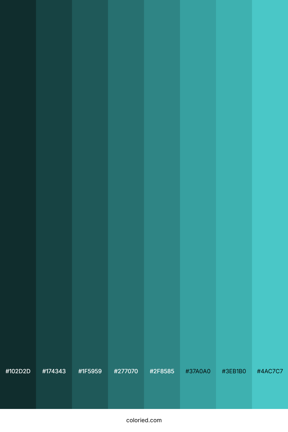 Jellyfish Color Shades