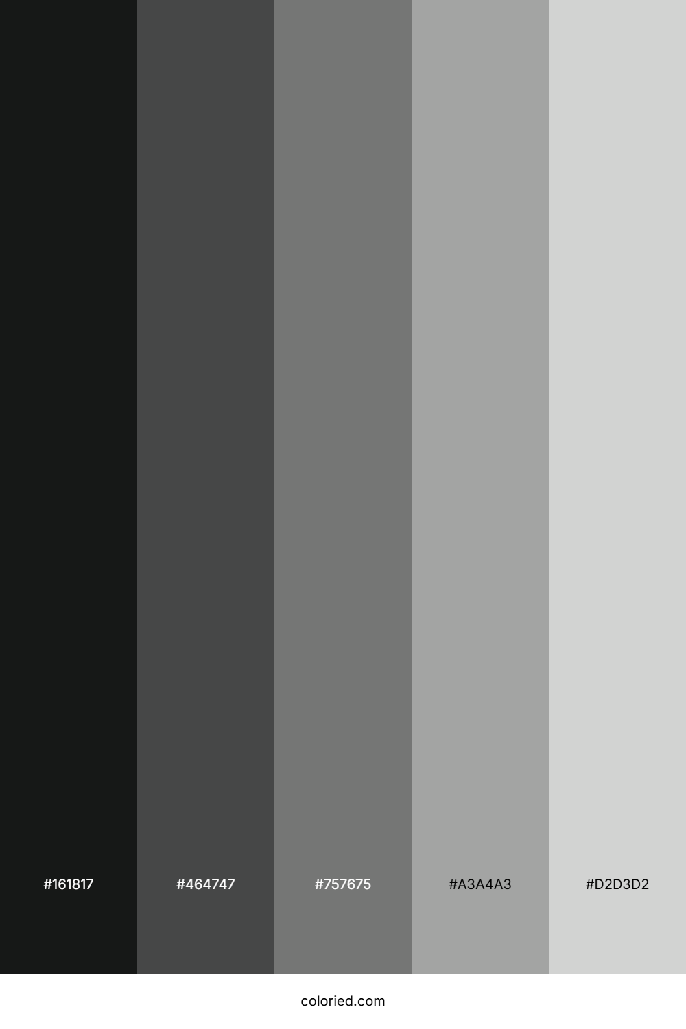 Jet and Stone Color Palette