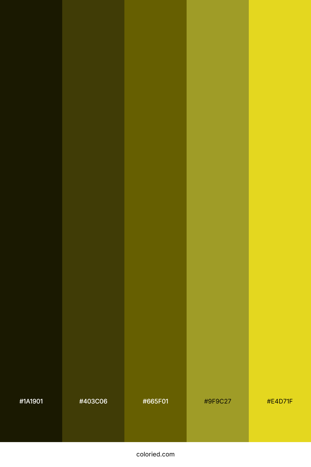Jet and Sunflower Color Palette