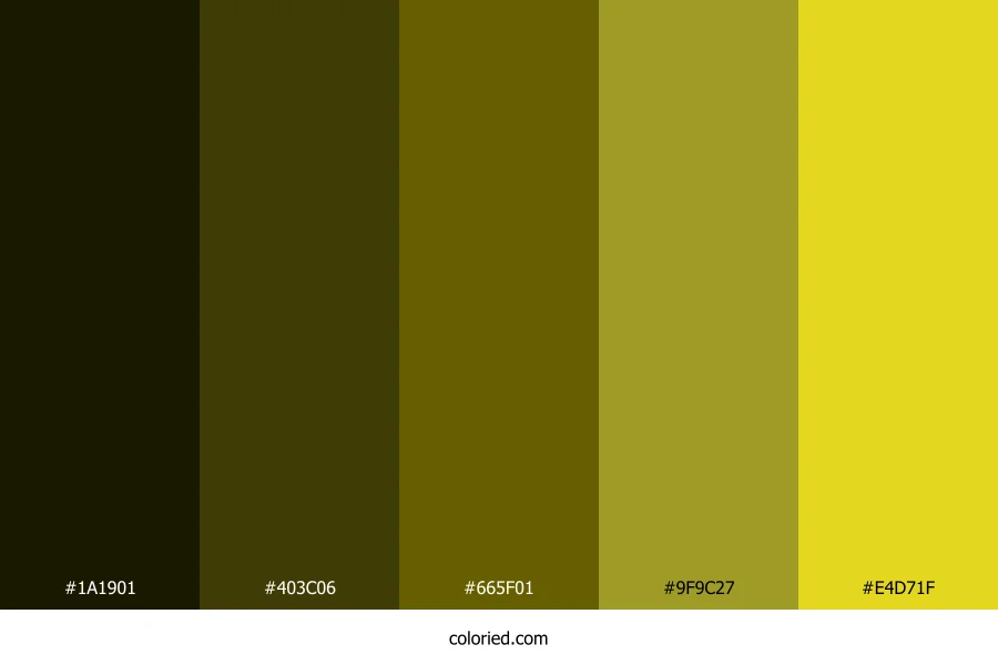 Jet and Sunflower Color Palette