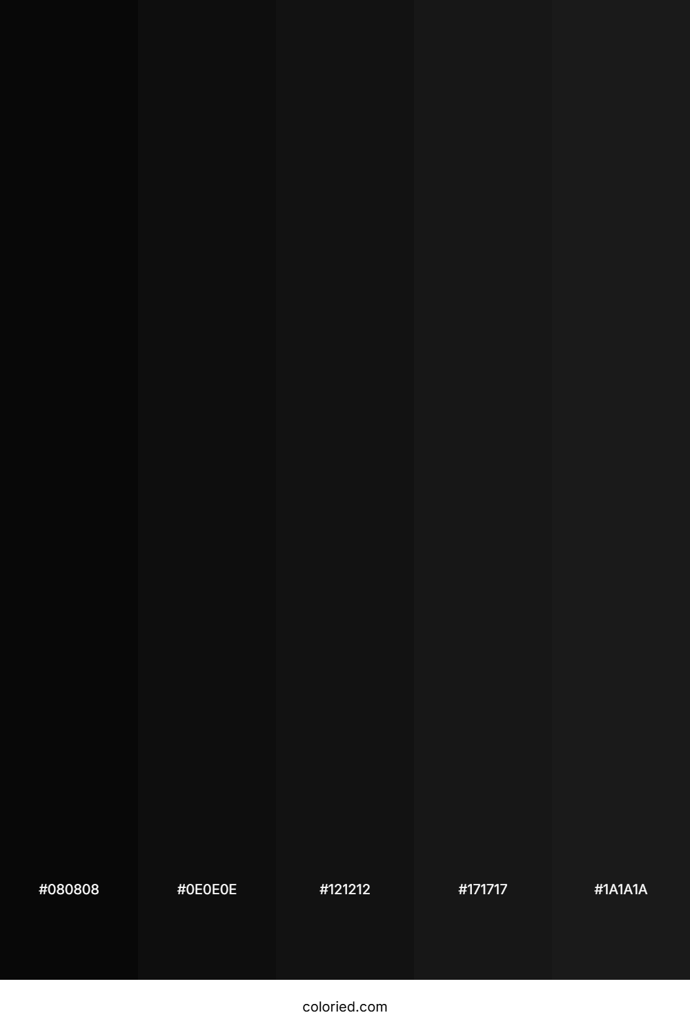 Jet Black and Charcoal Color Palette