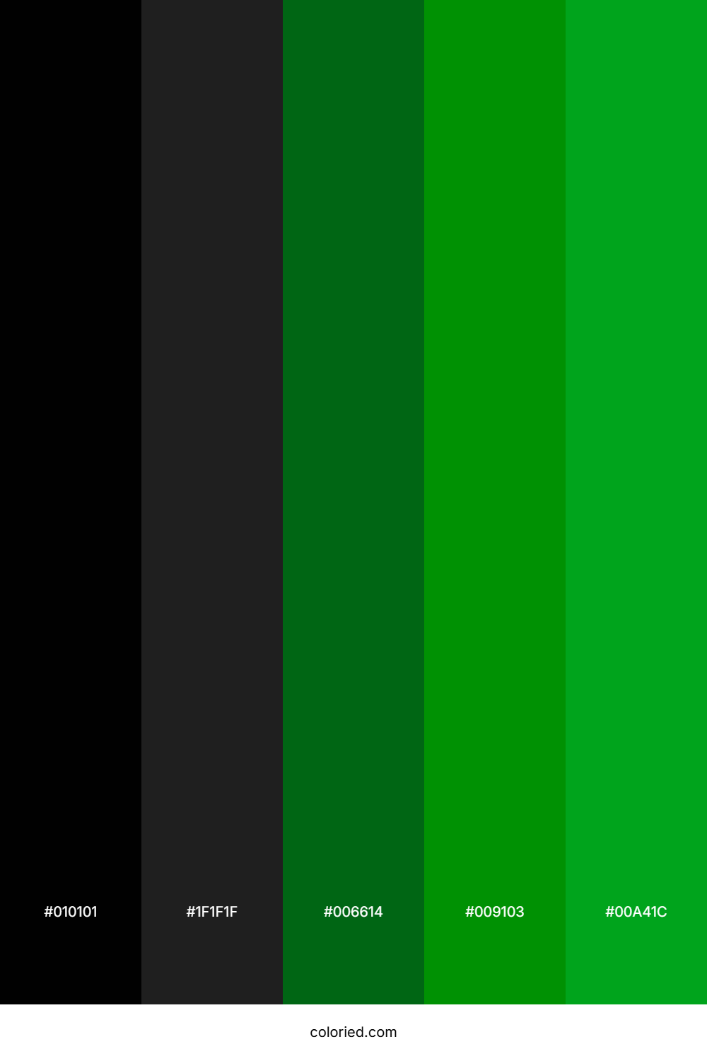 Jet Black And Forest Green Color Palette