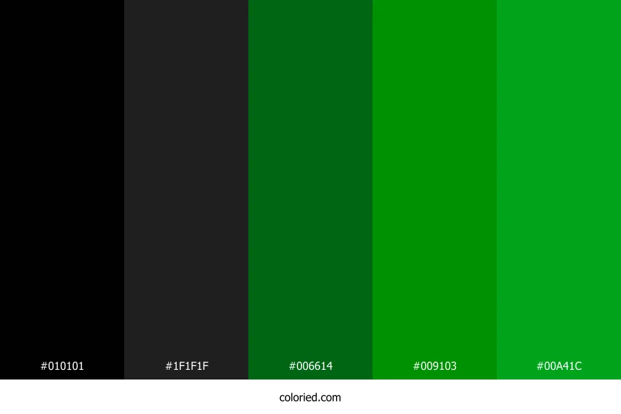 Jet Black and Forest Green Color Palette