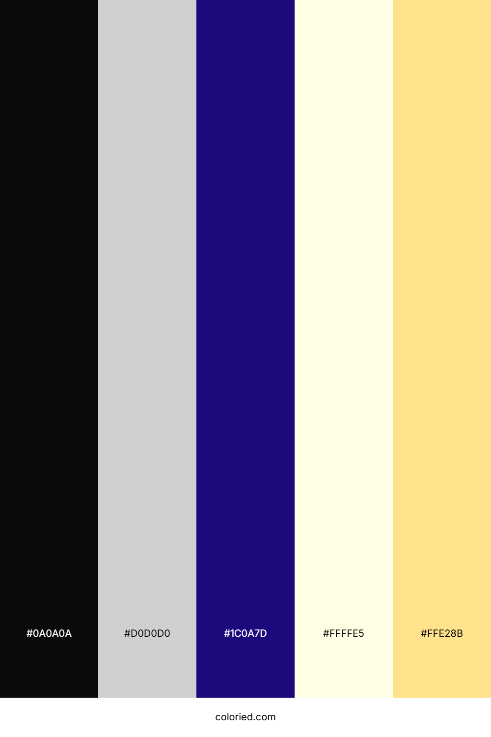 Jet Black and Ivory Color Palette