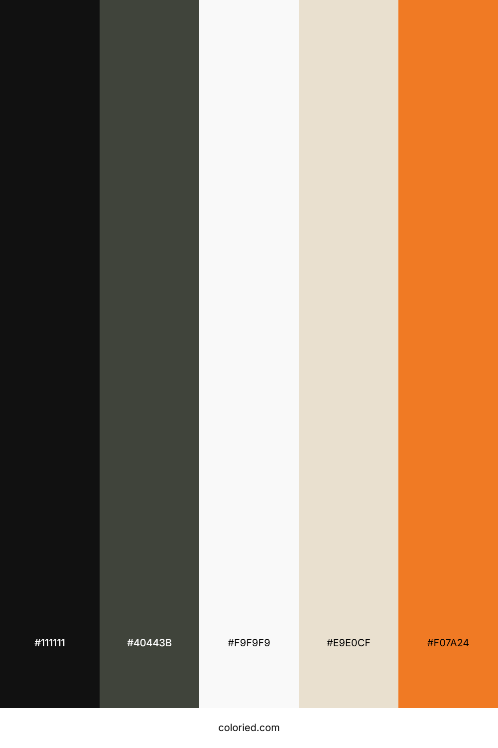 Jet Black And Tangerine Color Palette