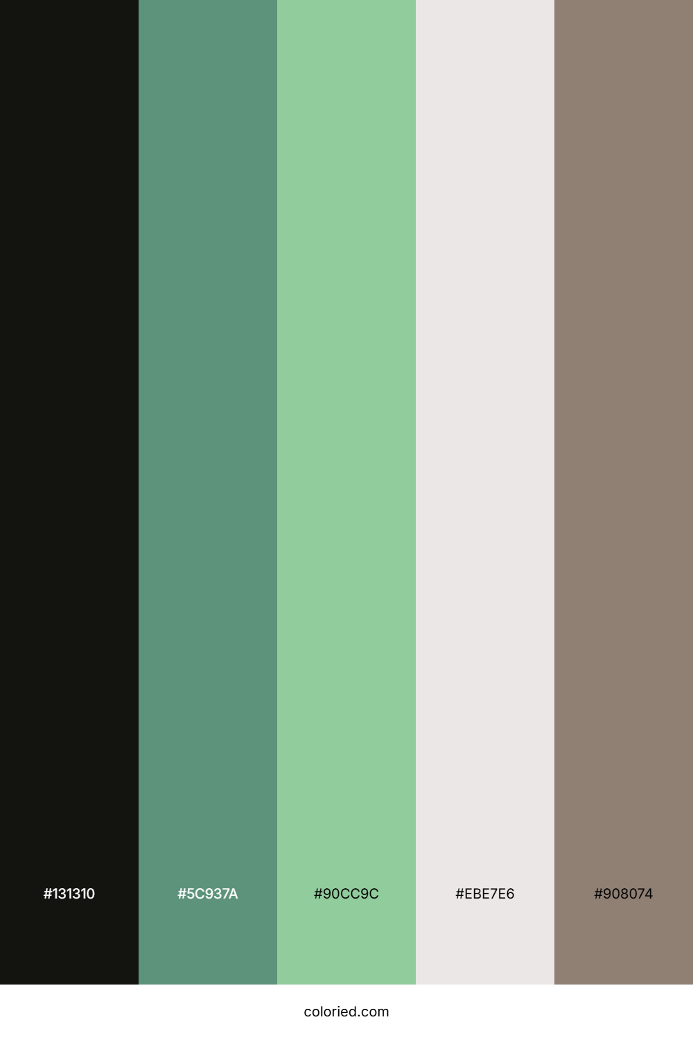 Jet Forest Whisper Color Palette