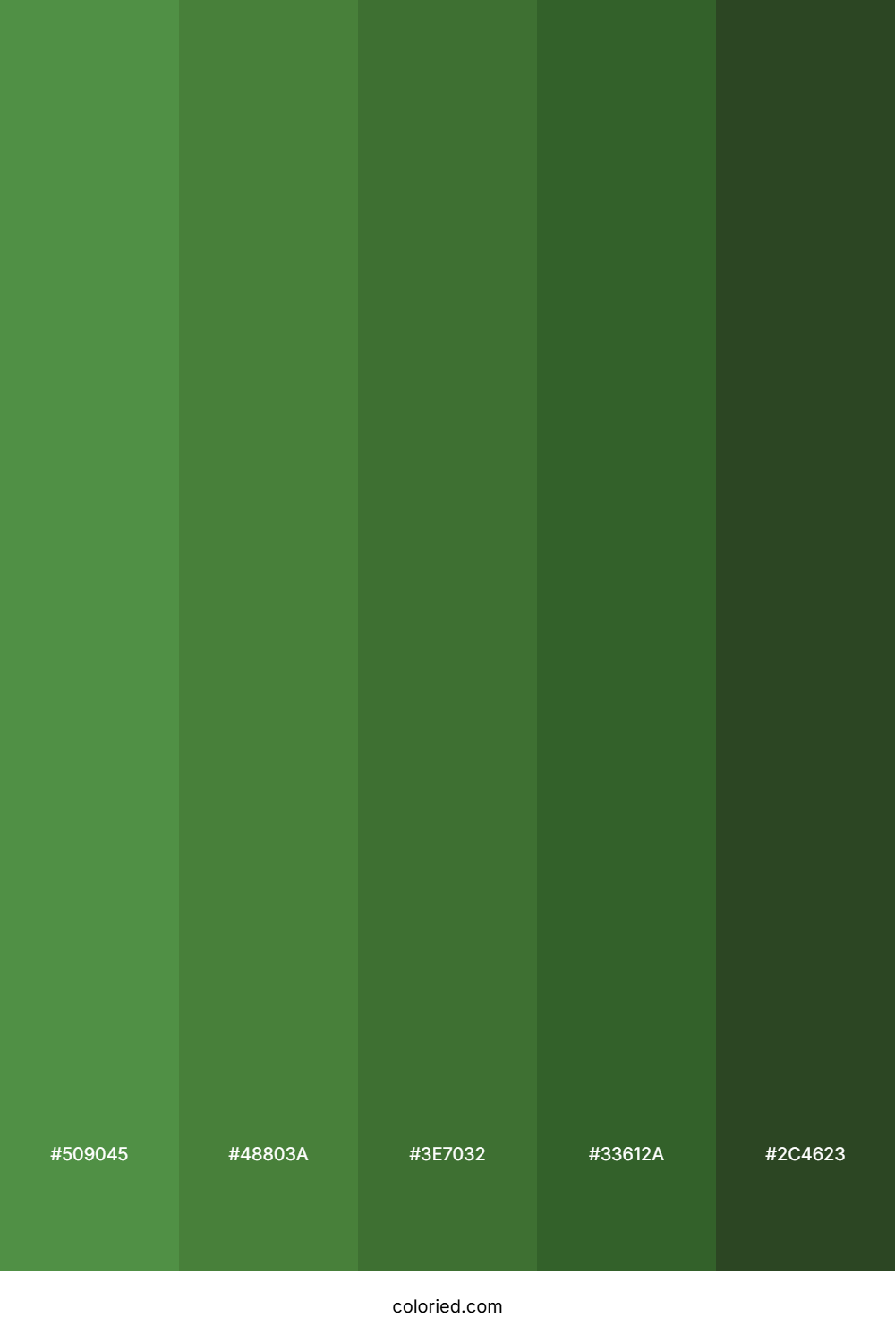 Jungle Green and Moss Color Palette
