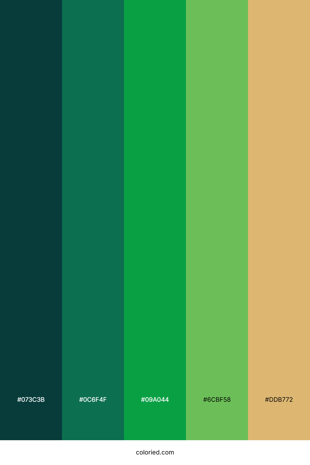 Jungle River Moss Color Palette