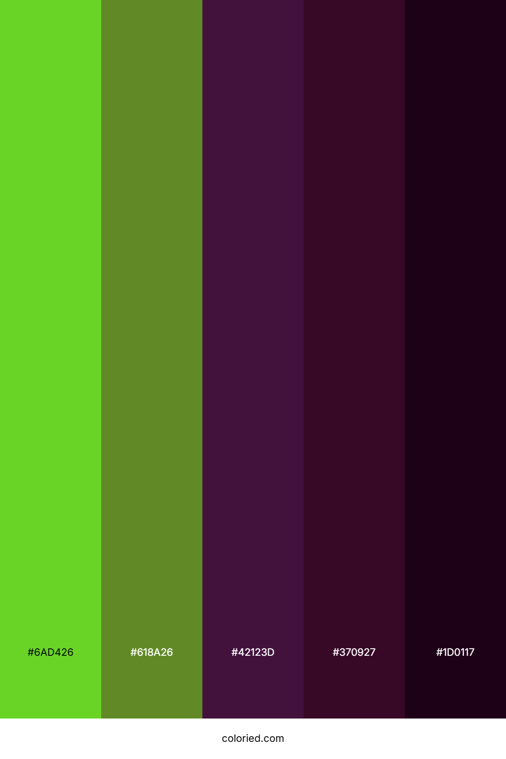 Jungle Vine Shadow Palette