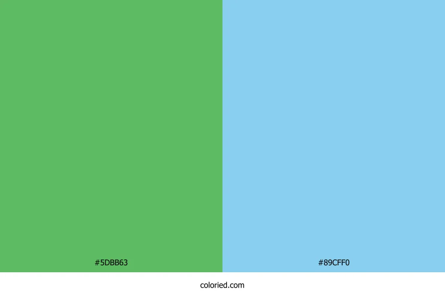 Kermit Green and Baby Blue Dress Combination