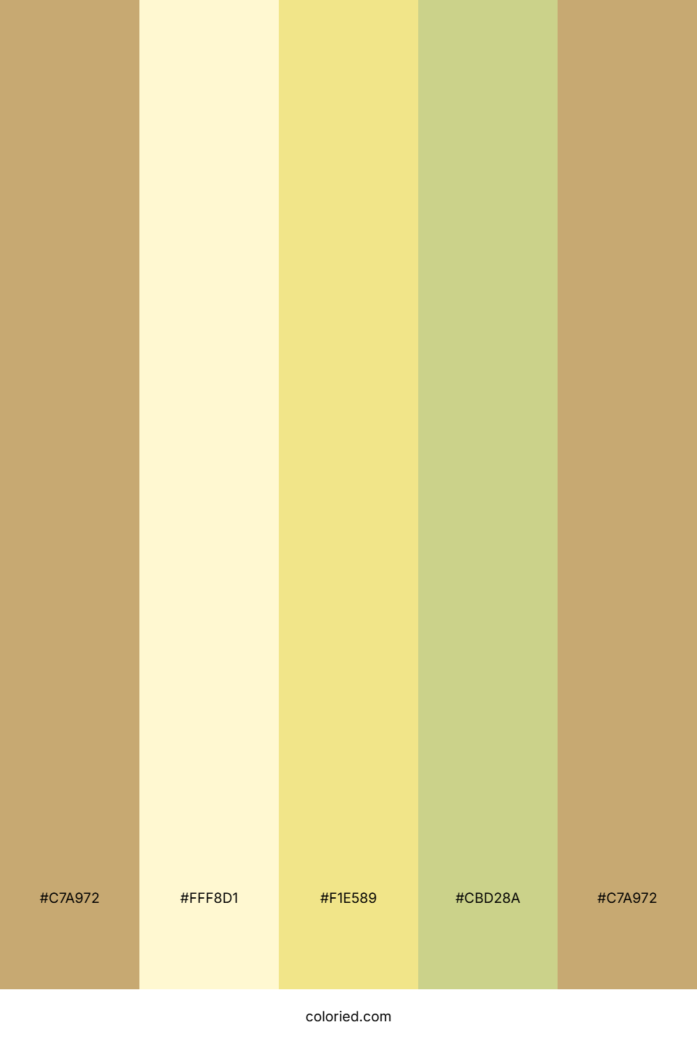 Khaki And Cream Color Palette