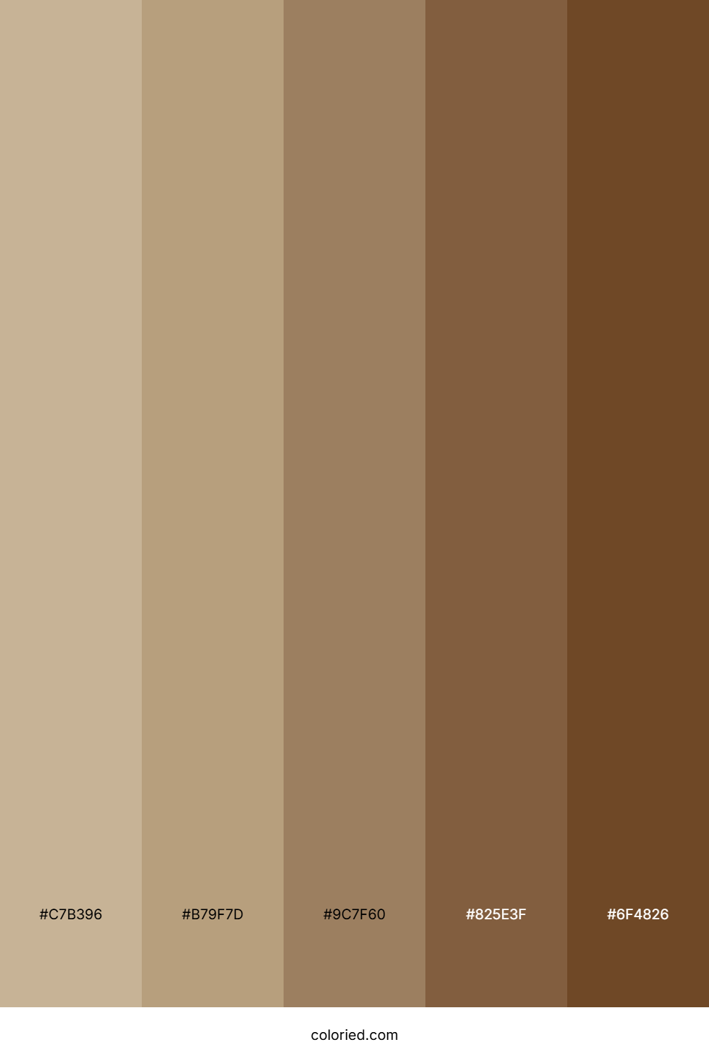 Khaki and Dark Brown Color Palette