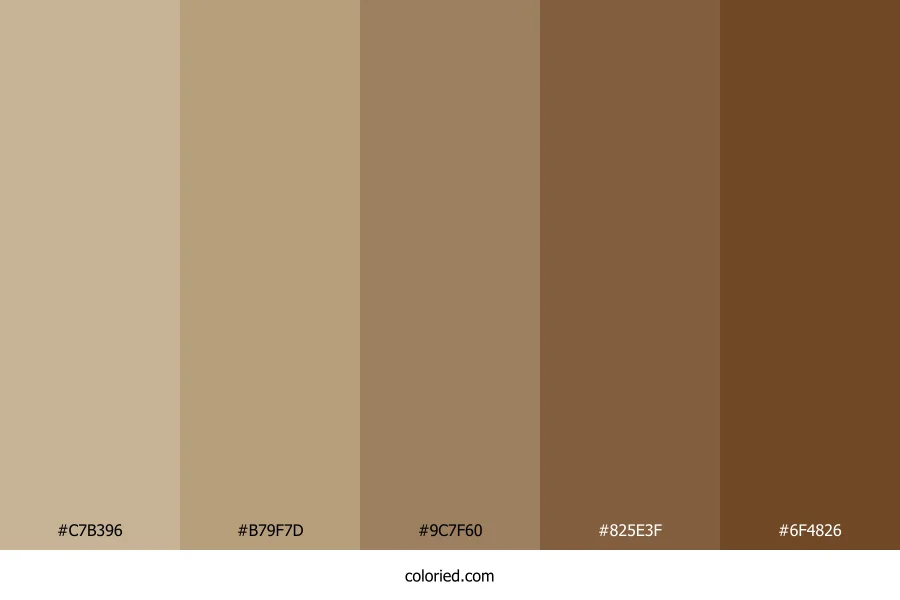 Khaki and Dark Brown Color Palette