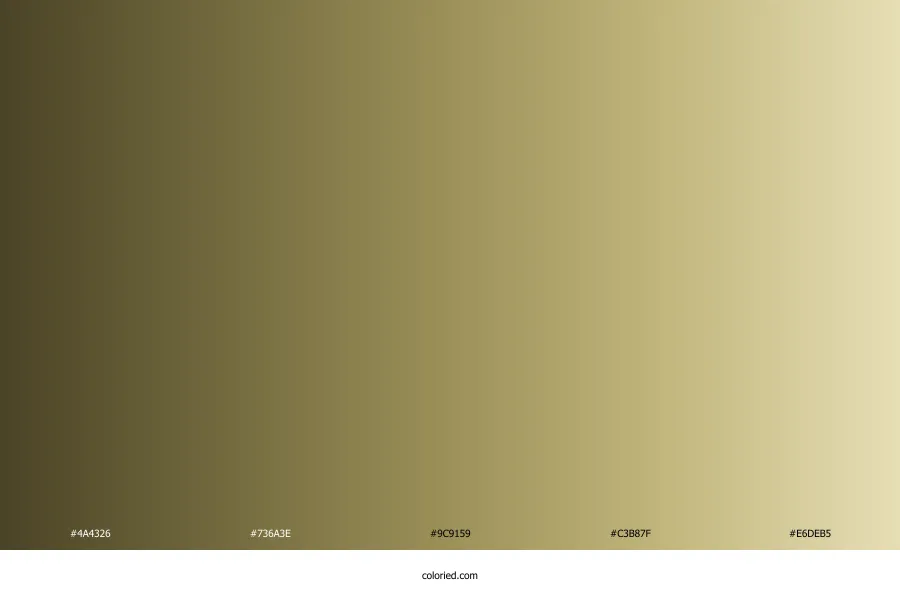 Khaki Gradient