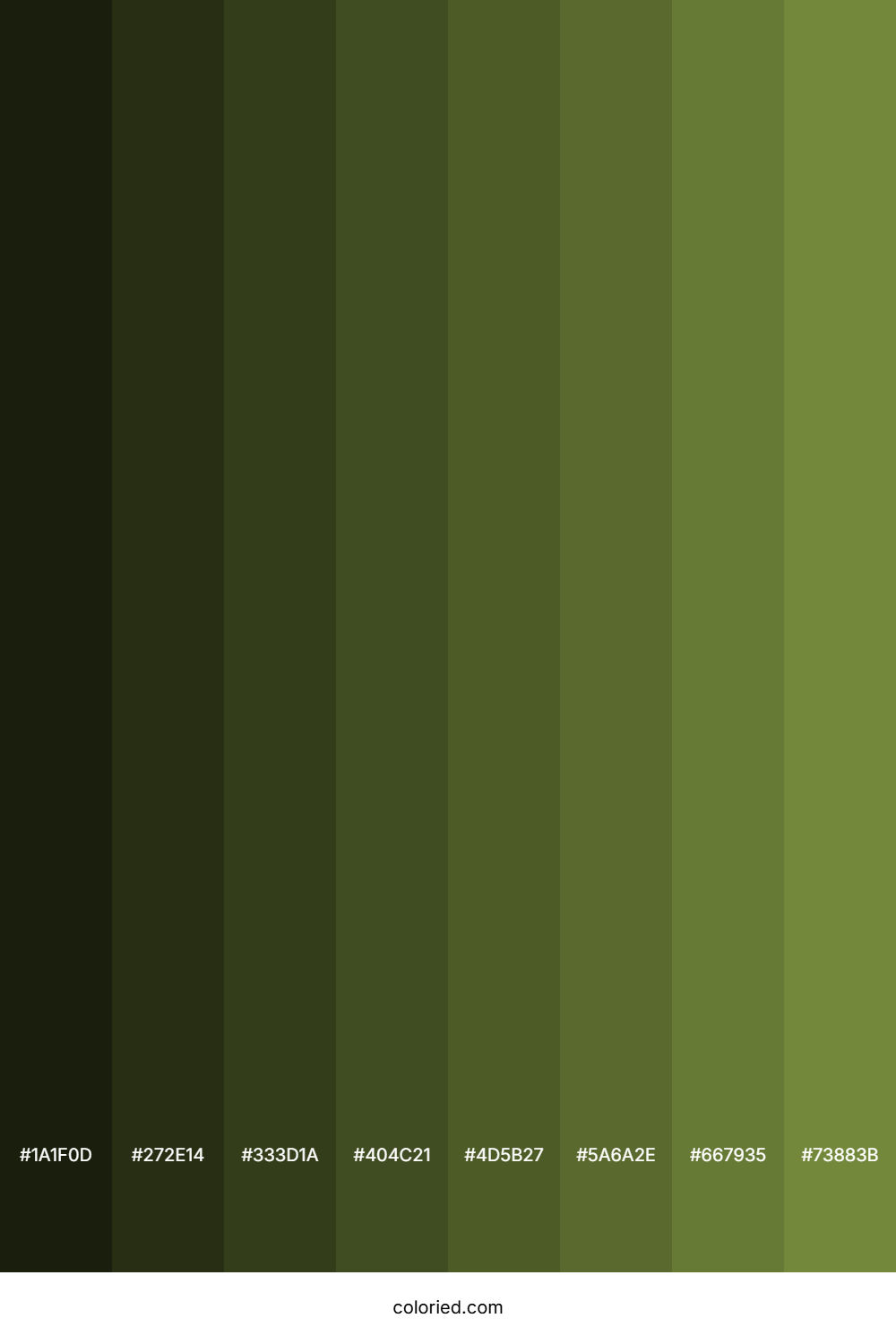 Khaki Green Shades