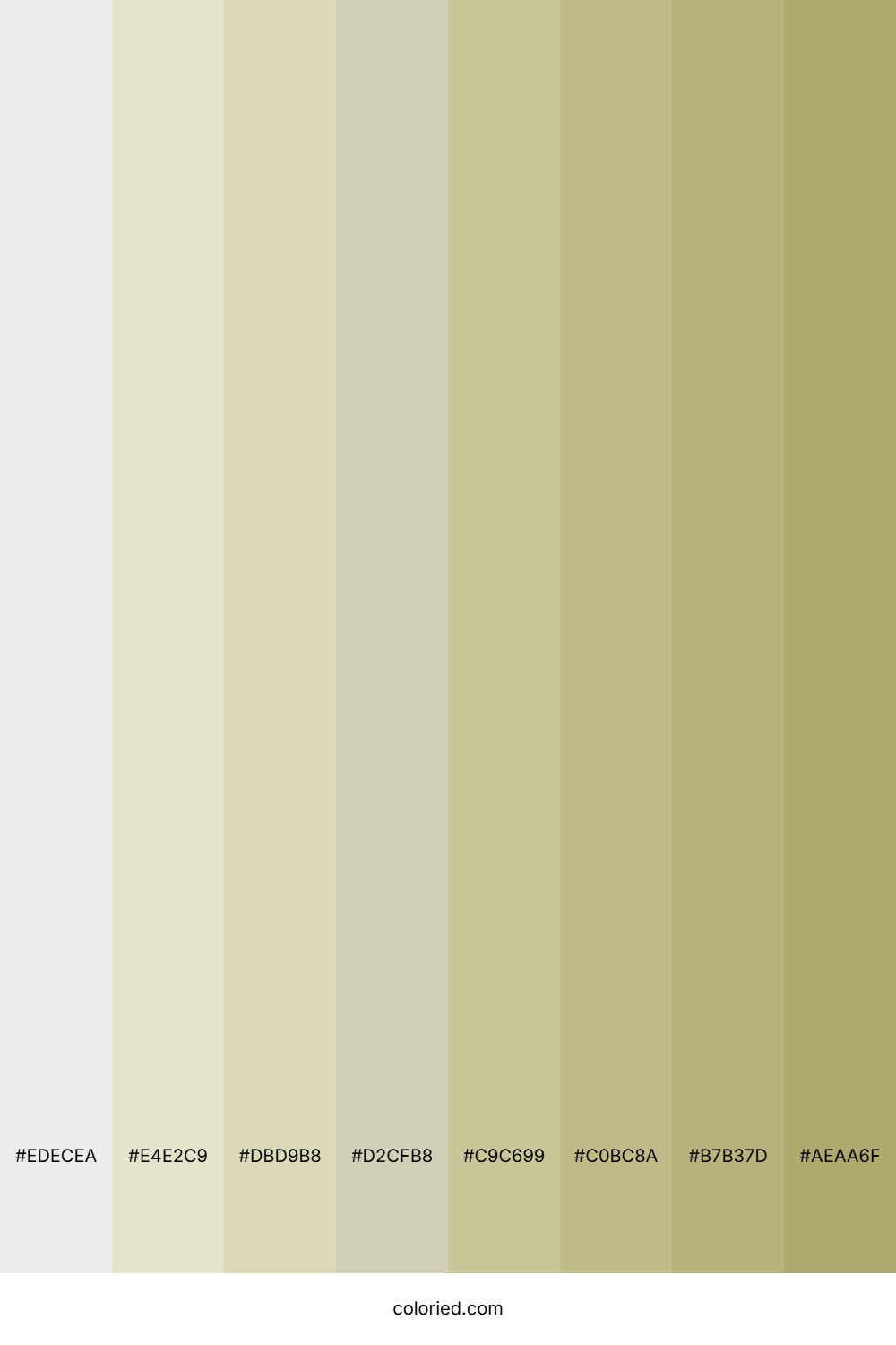 Khaki Tints Color Shades