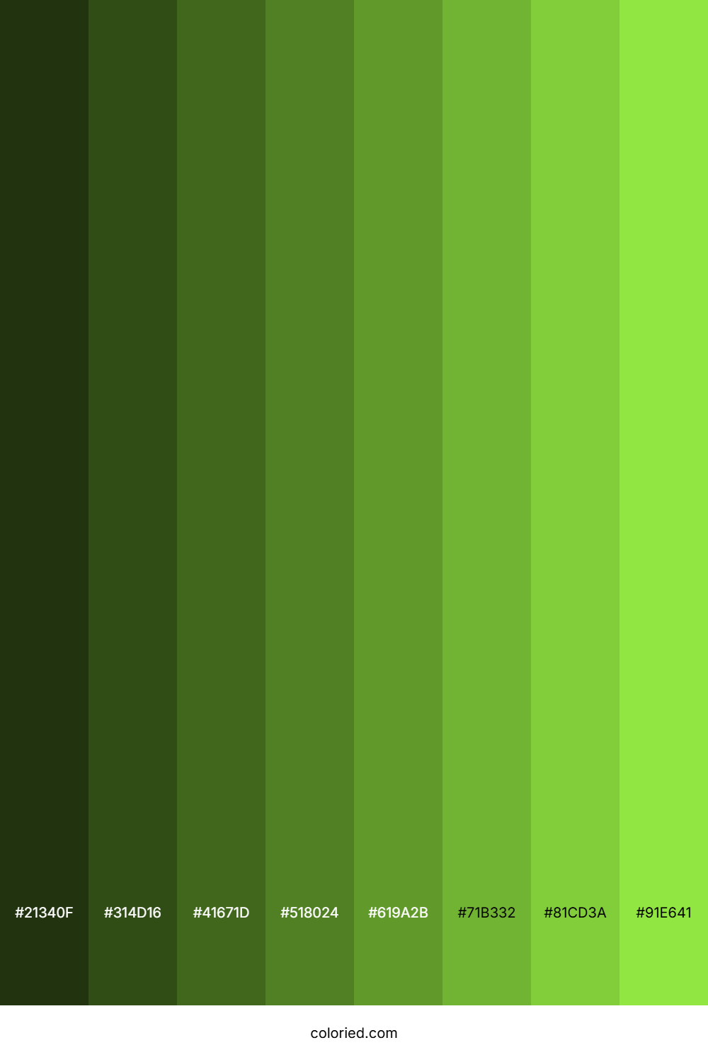 Kiwi Green Color Shades