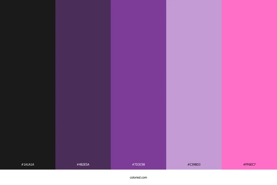 Kuromi Color Palette