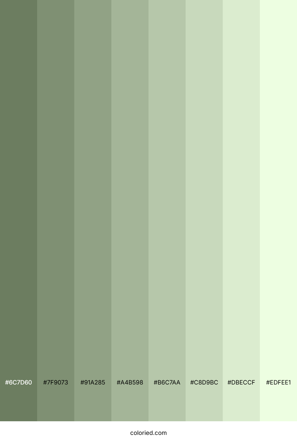 Laurel Green Shades