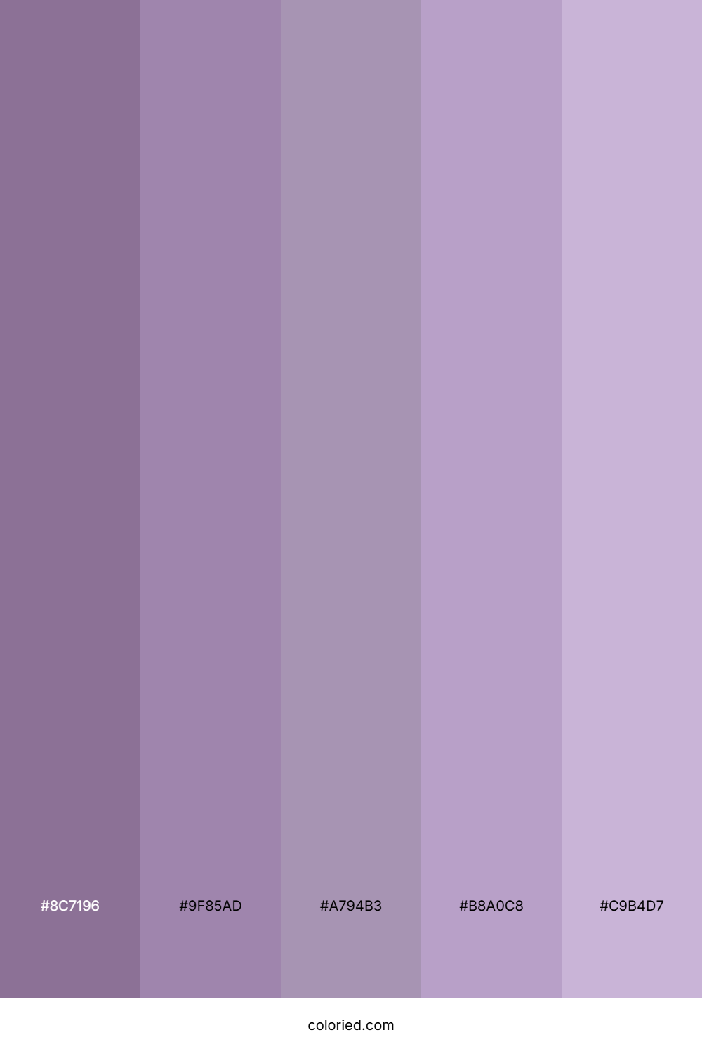 Lavender and Lilac Color Palette