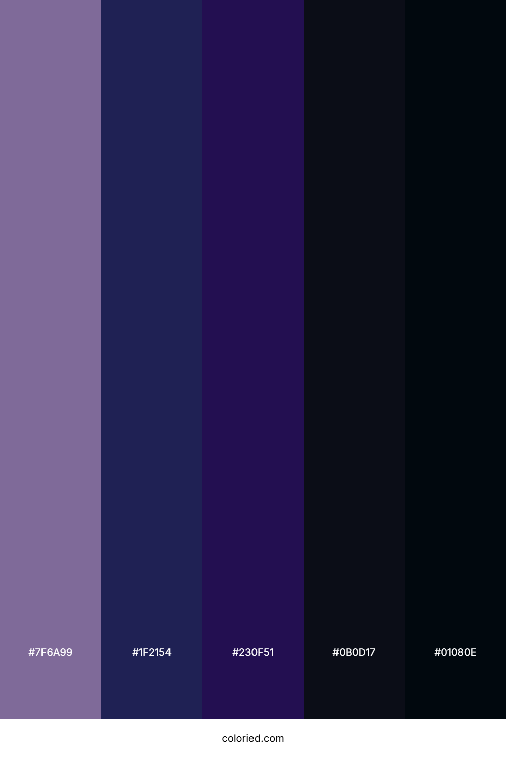 Lavender and Midnight Color Palette