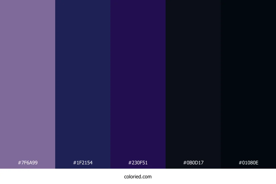 Lavender and Midnight Color Palette