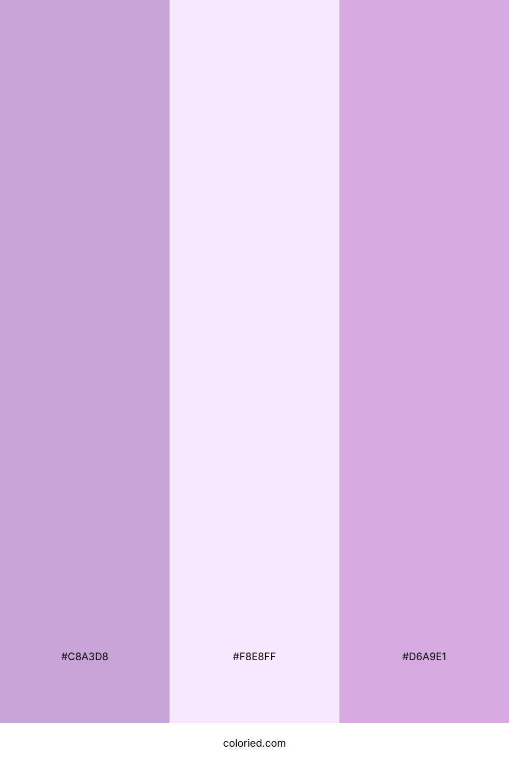 Lavender and Pale Lilac Color Palette