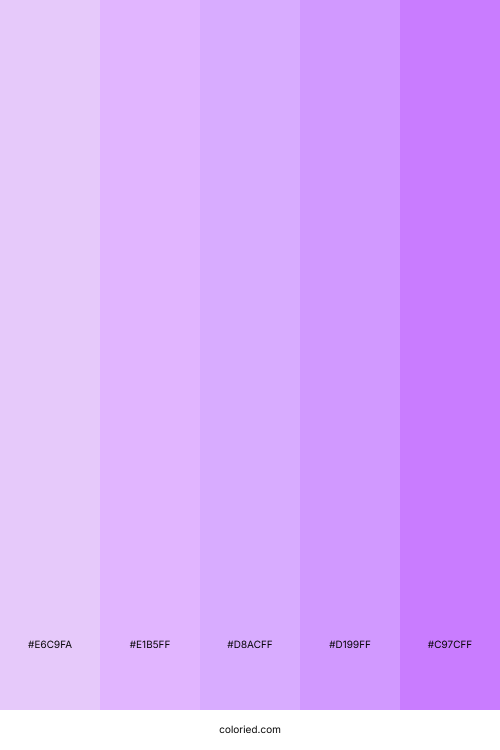 Lavender and Pastel Purple Color Palette