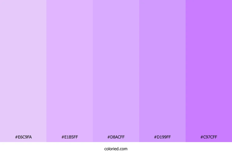 Lavender and Pastel Purple Color Palette