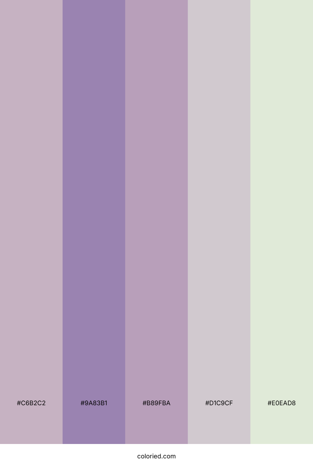 Lavender and Soft Gray Color Palette